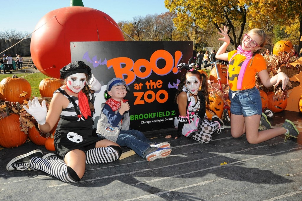Boo! at the Zoo at Brookfield Zoo
