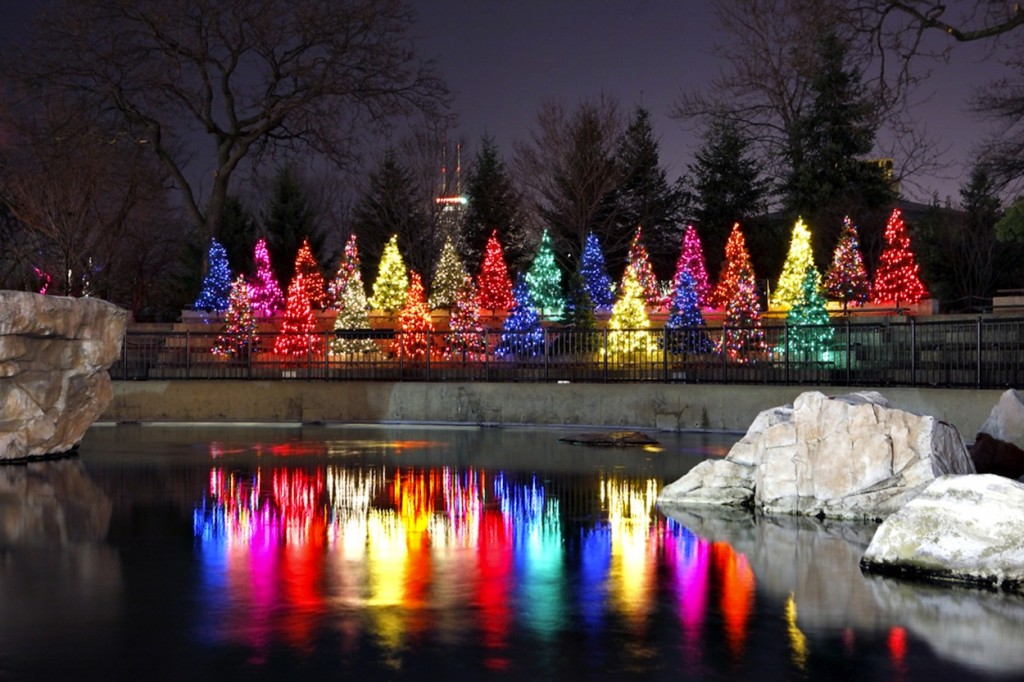 Lincoln Park Zoo - Zoolights (web)