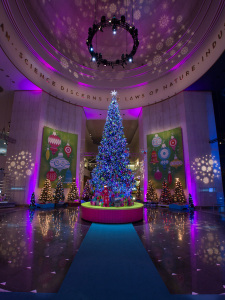Christmas Around the World and Holidays of Light exhibit @ the Museum of Science and Industry, Chicago