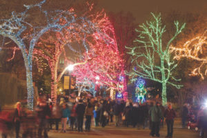 Lincoln Park Zoolights